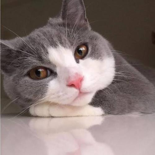 สมาชิกหมายเลข 5189773