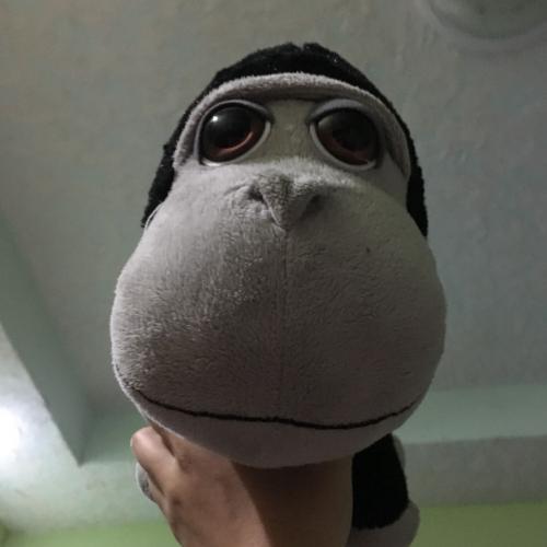 สมาชิกหมายเลข 5189893