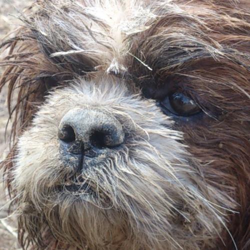 สมาชิกหมายเลข 2621823