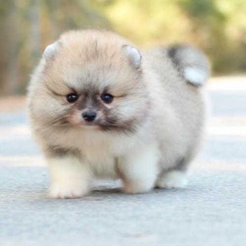 สมาชิกหมายเลข 8484601