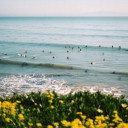 สมาชิกหมายเลข 3696501