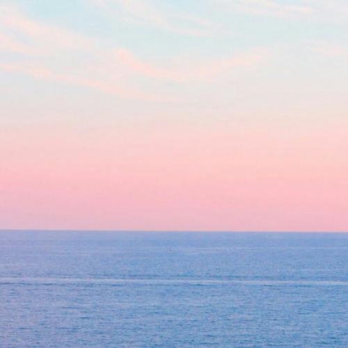 สมาชิกหมายเลข 4436984