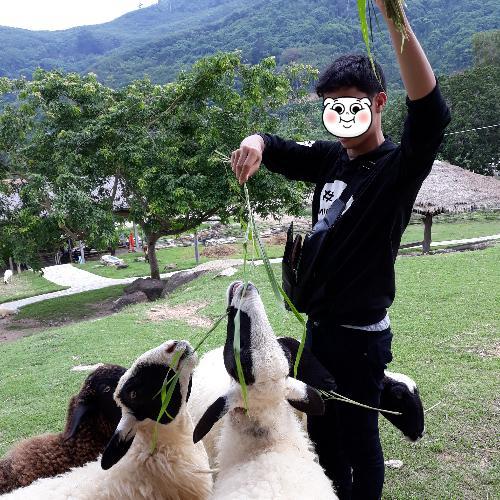 สมาชิกหมายเลข 4807688