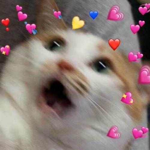 สมาชิกหมายเลข 4512878