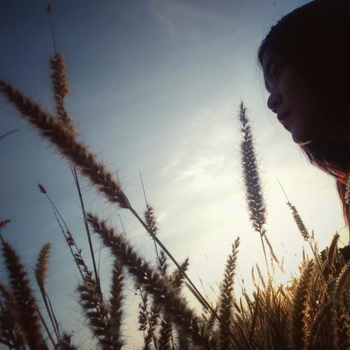 สมาชิกหมายเลข 5189256