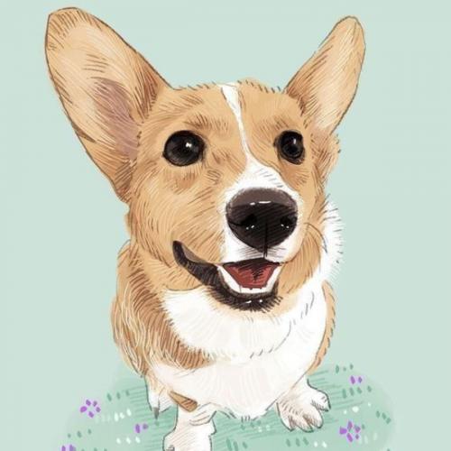 สมาชิกหมายเลข 5189992