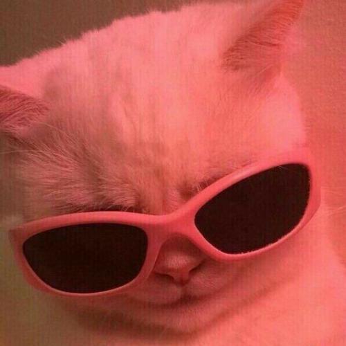 สมาชิกหมายเลข 5190116