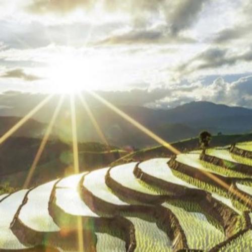 สมาชิกหมายเลข 6164134