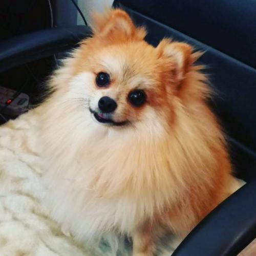 สมาชิกหมายเลข 6164136