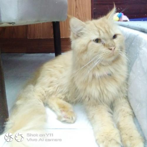 สมาชิกหมายเลข 6795103