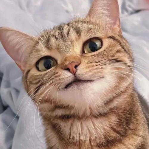 สมาชิกหมายเลข 7565740