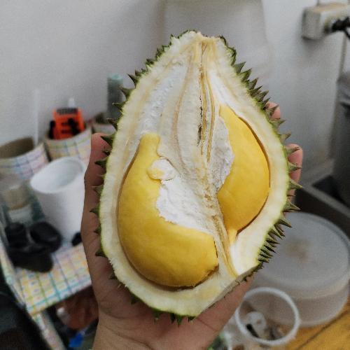 สมาชิกหมายเลข 6382798