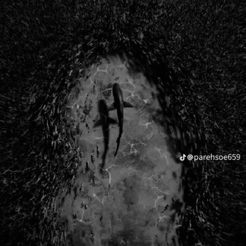 สมาชิกหมายเลข 8484337