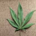 สมาชิกหมายเลข 4008336