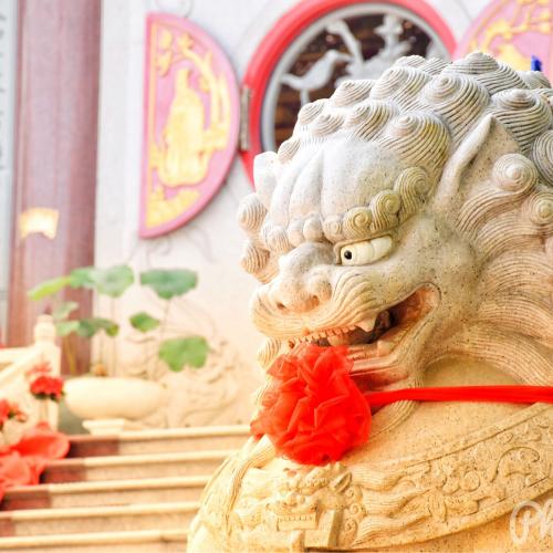 สมาชิกหมายเลข 2159954