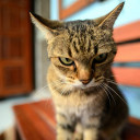 สมาชิกหมายเลข 1241449