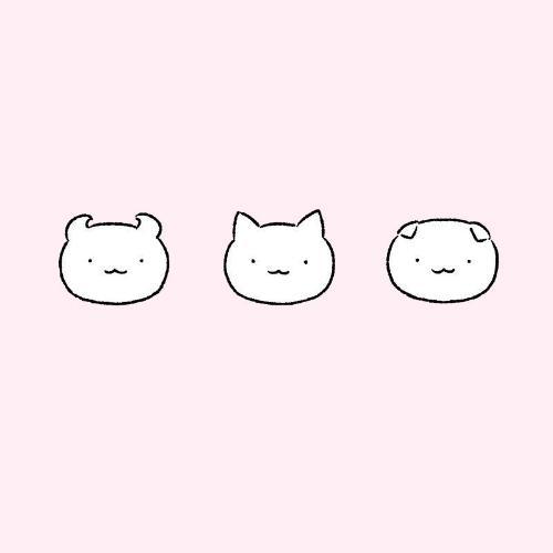 สมาชิกหมายเลข 5190484