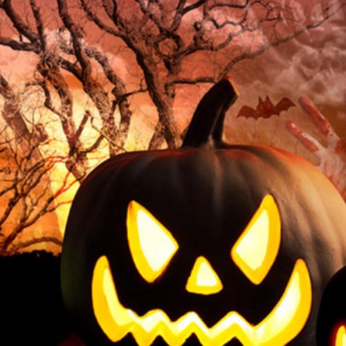 สมาชิกหมายเลข 6011997