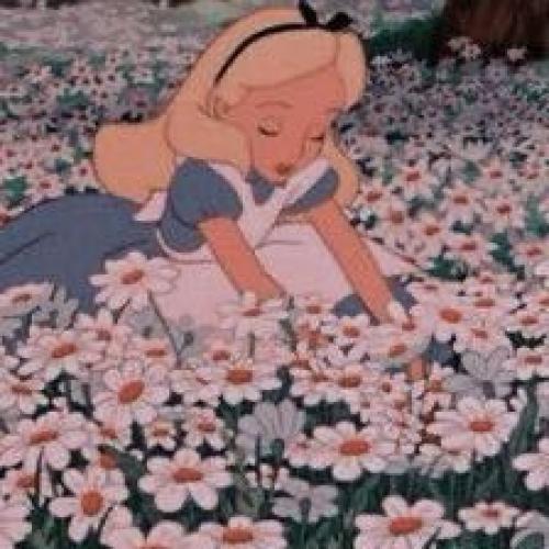 สมาชิกหมายเลข 6141562