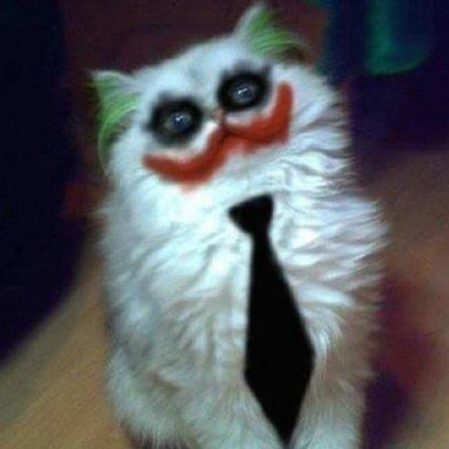 สมาชิกหมายเลข 6164604