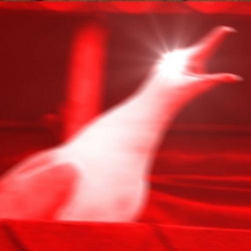 สมาชิกหมายเลข 6164646