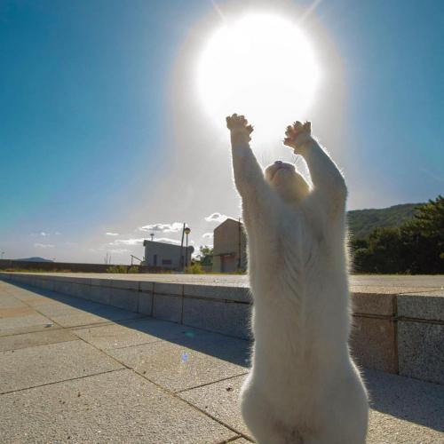 สมาชิกหมายเลข 6164765