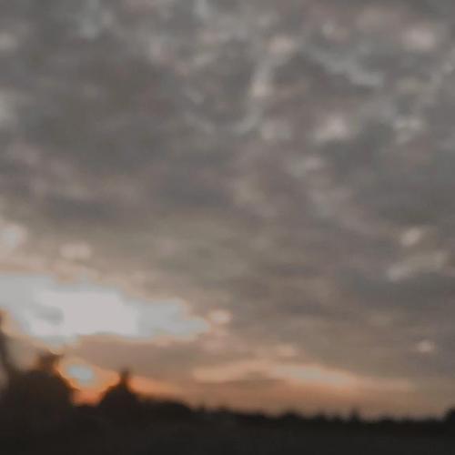 สมาชิกหมายเลข 5550471