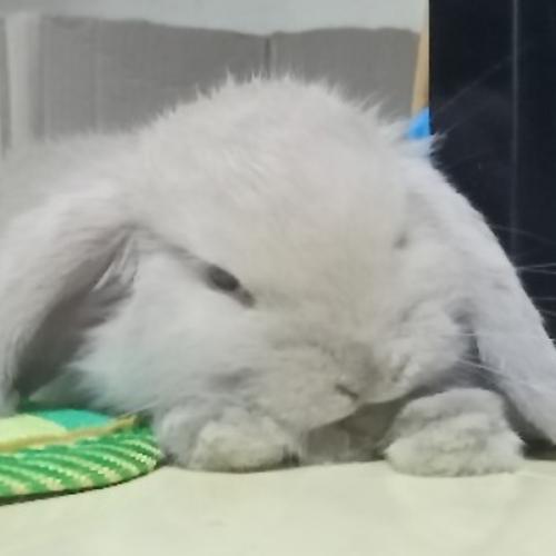 สมาชิกหมายเลข 6795558