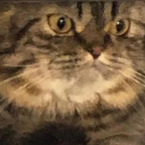 สมาชิกหมายเลข 8297039