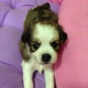 สมาชิกหมายเลข 1786896