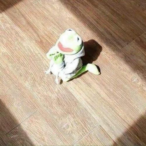 สมาชิกหมายเลข 3449008