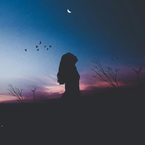 สมาชิกหมายเลข 4808433