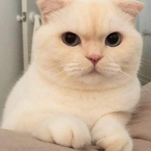 สมาชิกหมายเลข 5191017