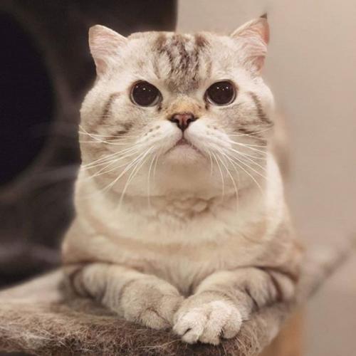 สมาชิกหมายเลข 5600003