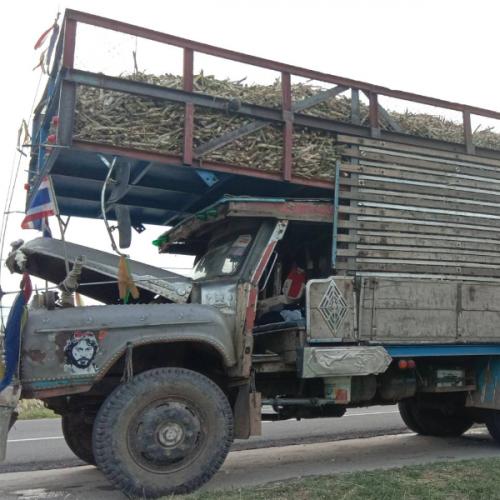 สมาชิกหมายเลข 5600011