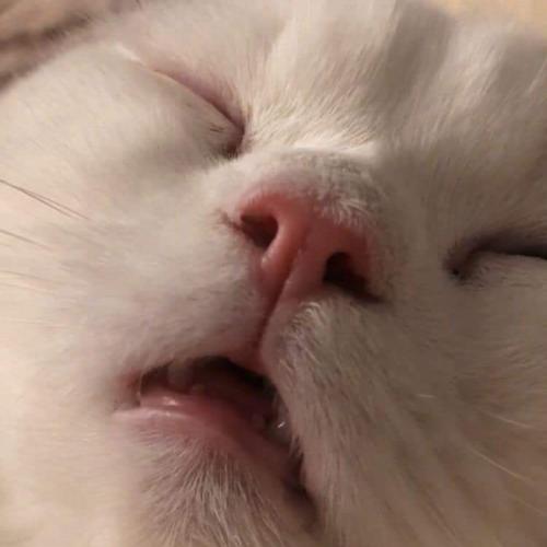 สมาชิกหมายเลข 5600112