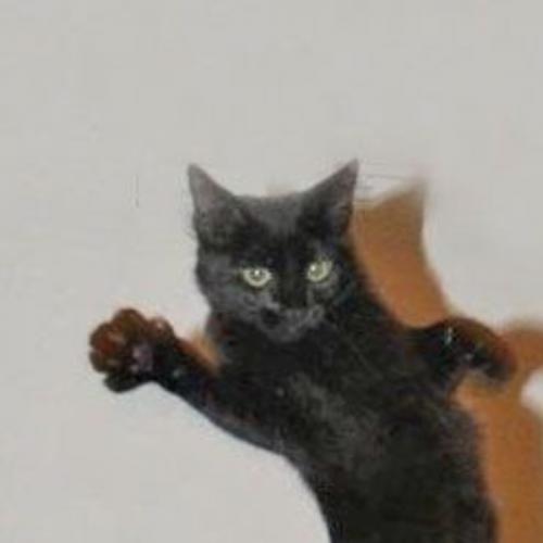 สมาชิกหมายเลข 3105762