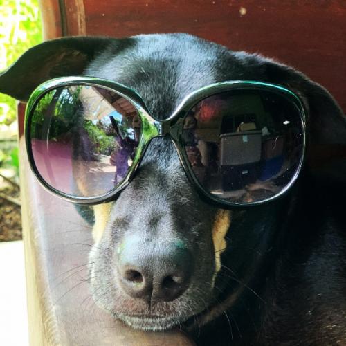 สมาชิกหมายเลข 6165218