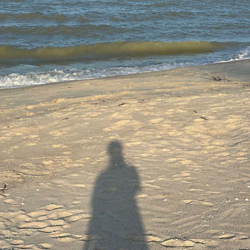 สมาชิกหมายเลข 7553643