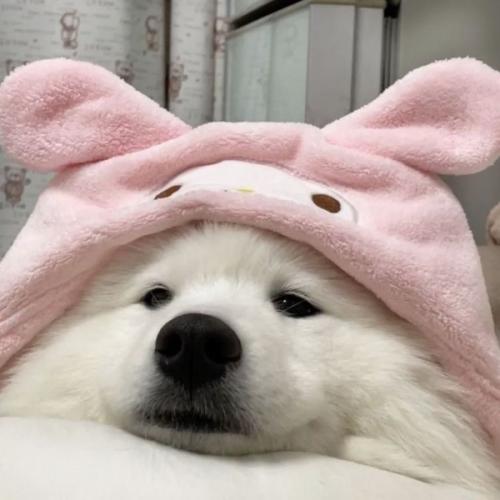 สมาชิกหมายเลข 5519352