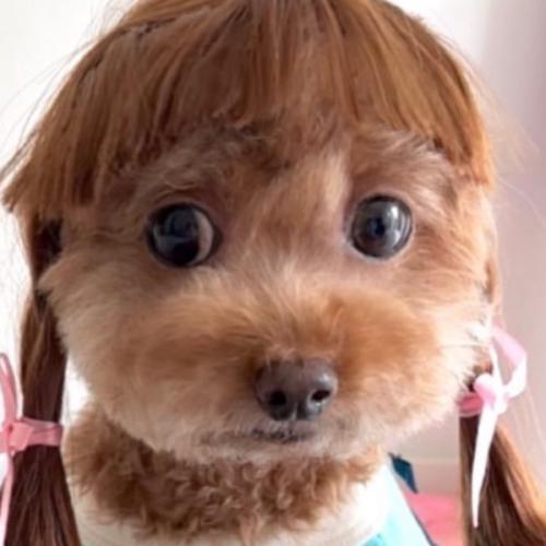 สมาชิกหมายเลข 5545204