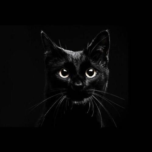 สมาชิกหมายเลข 3992261