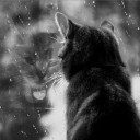 สมาชิกหมายเลข 4009205