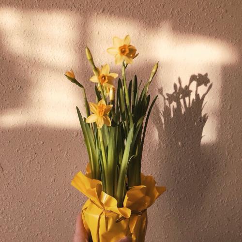 สมาชิกหมายเลข 4006419