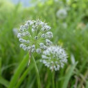 สมาชิกหมายเลข 4473575