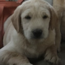 สมาชิกหมายเลข 836028