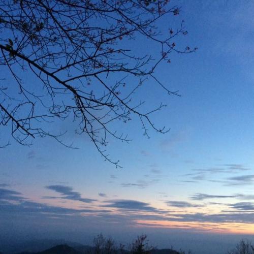 สมาชิกหมายเลข 5190042