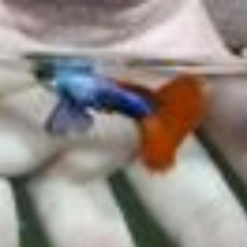 สมาชิกหมายเลข 5332953