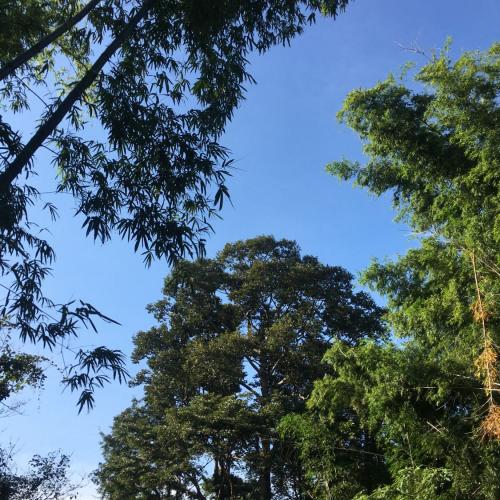 สมาชิกหมายเลข 6114254