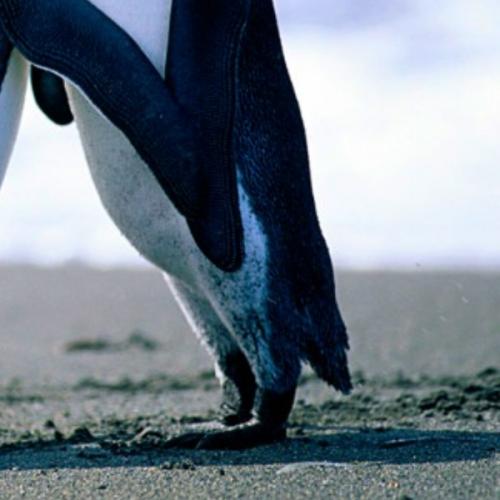 สมาชิกหมายเลข 6166130